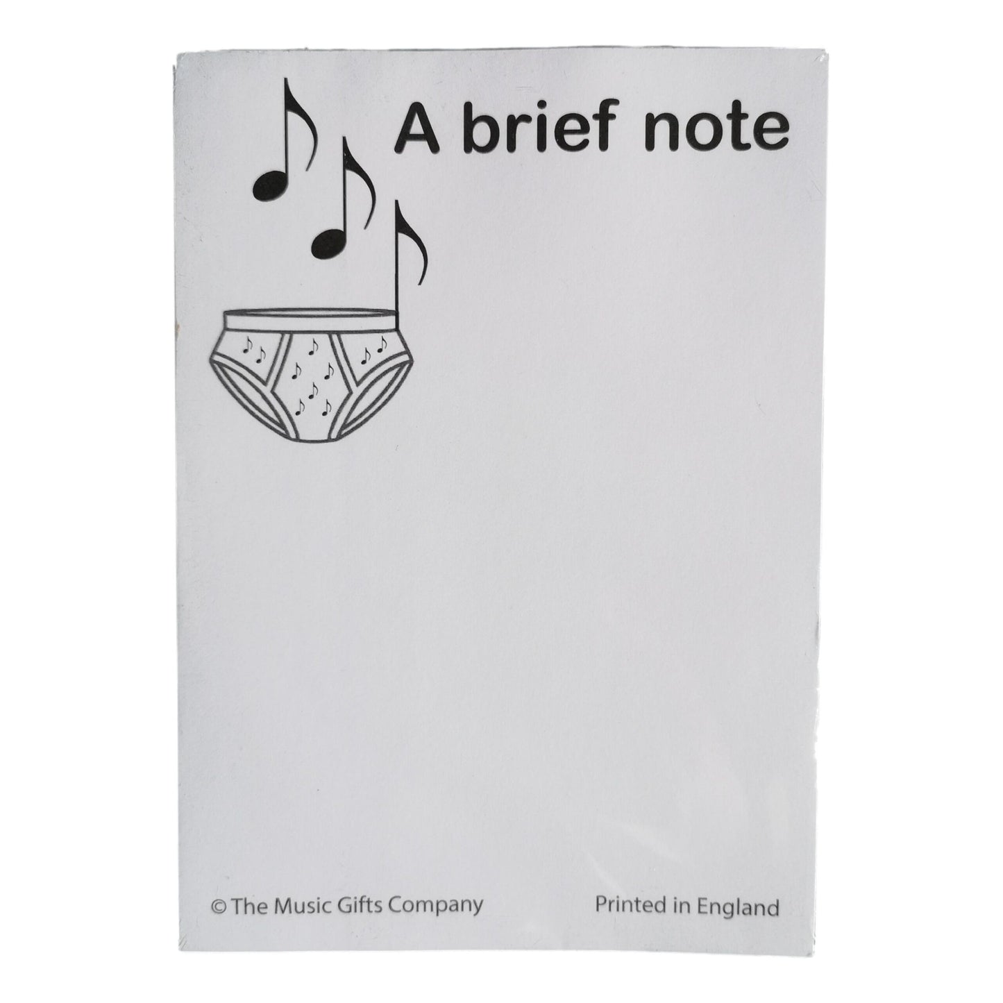 A Brief Note Music Notepad image 0