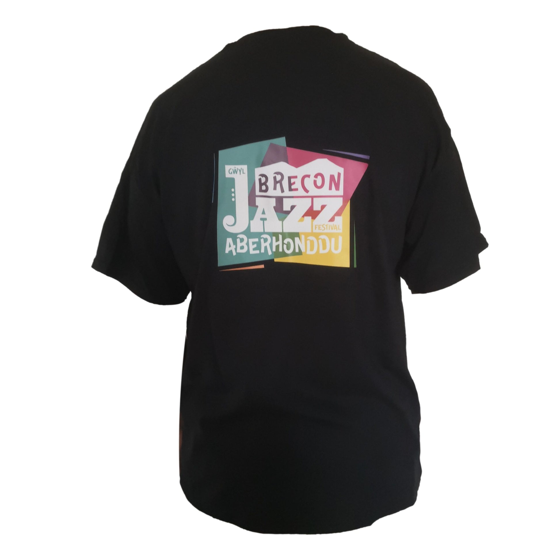 Brecon Jazz Festival Dual Logo Black T-Shirt - various sizes image 0