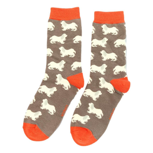 Spaniels on Grey Ladies Novelty Ankle Socks Adult One Size image 0