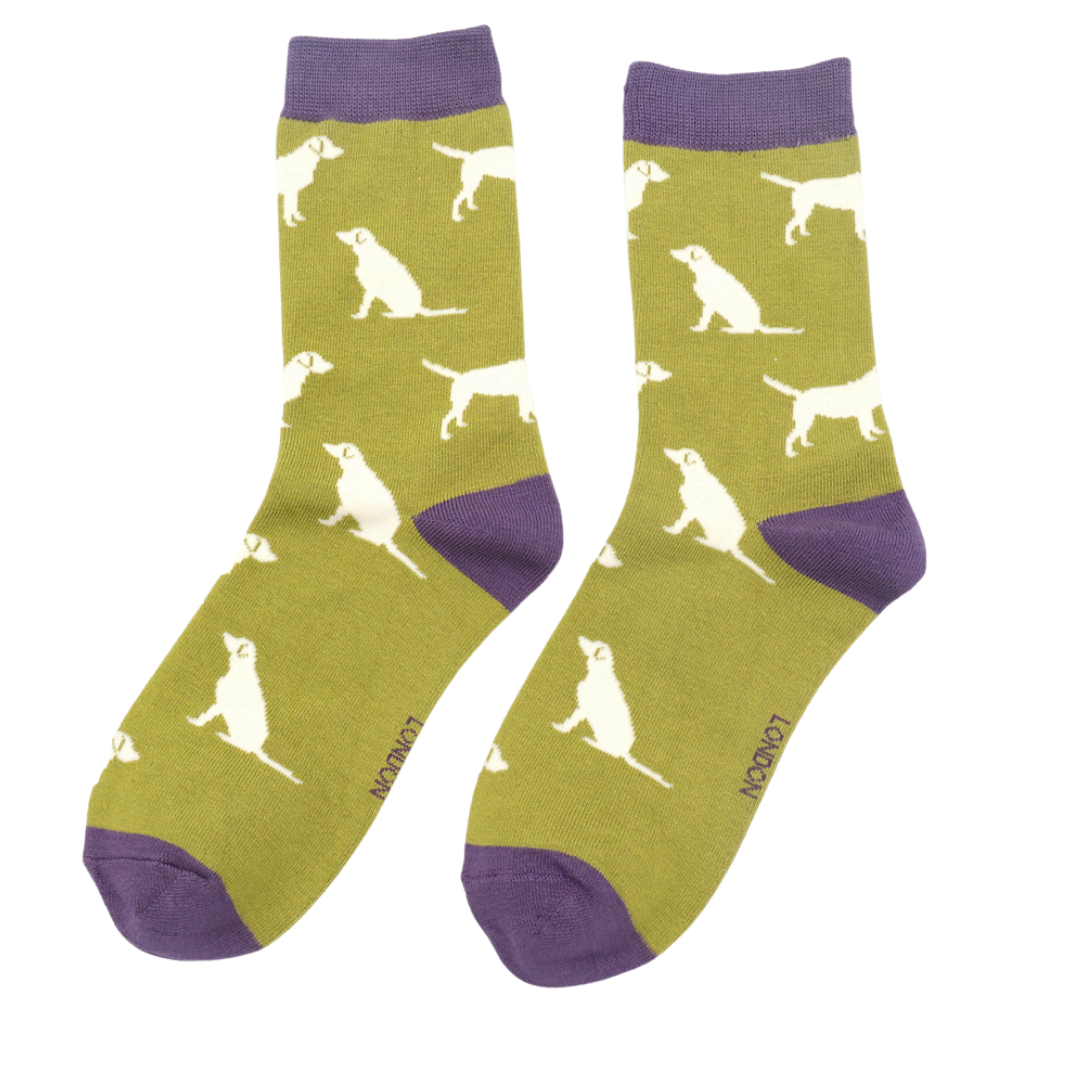 White Labradors on Moss Green Womens Novelty Ankle Socks Adult One Size image 0