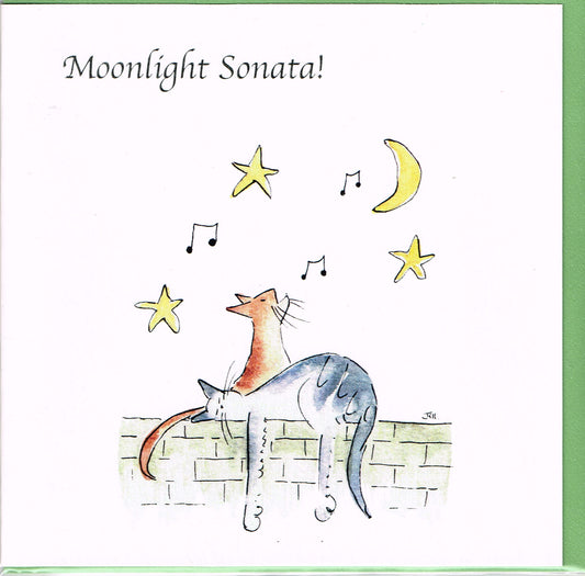 A Jill Latter designed Musical Moonlight Sonata cat card image 0