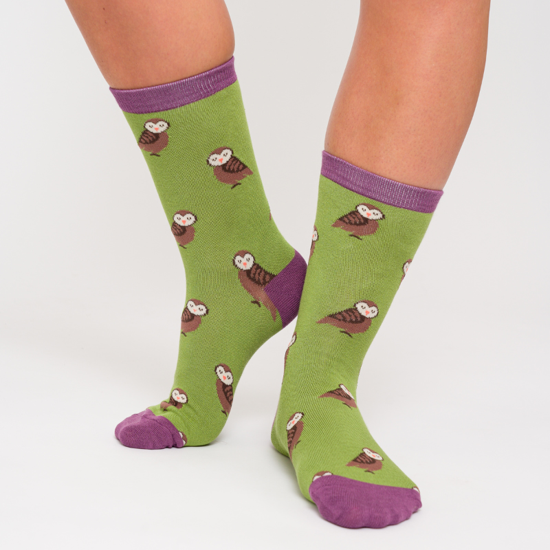 Cute Owls on Green Womens Novelty Ankle Socks Adult One Size image 1