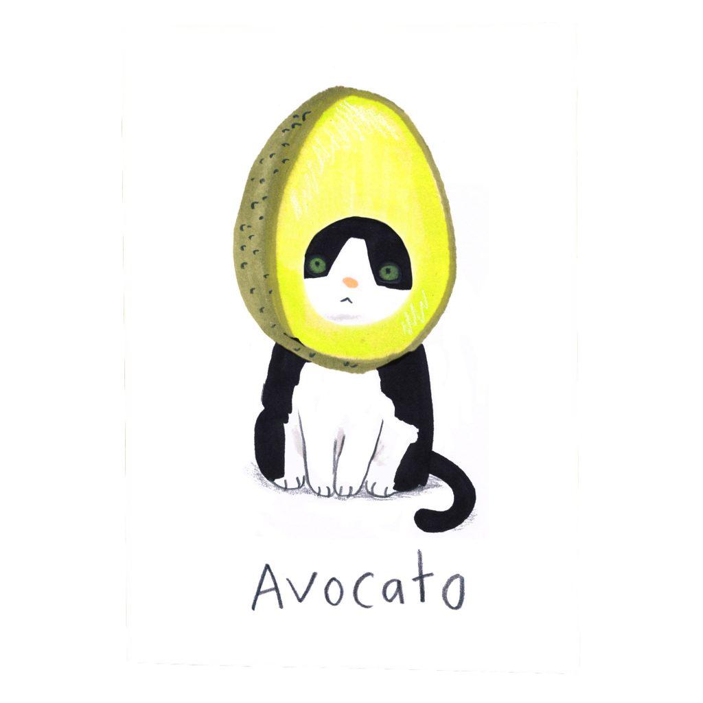 AvoCato eco-friendly humour greetings card image 0