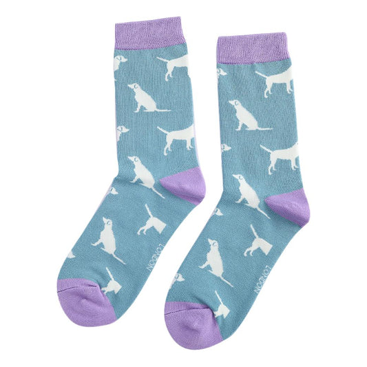 White Labradors on Pale Blue Womens Novelty Ankle Socks Adult One Size image 0