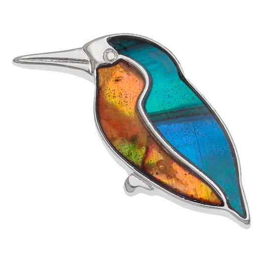 Kingfisher Paua shell rhodium-plated pin badge image 0