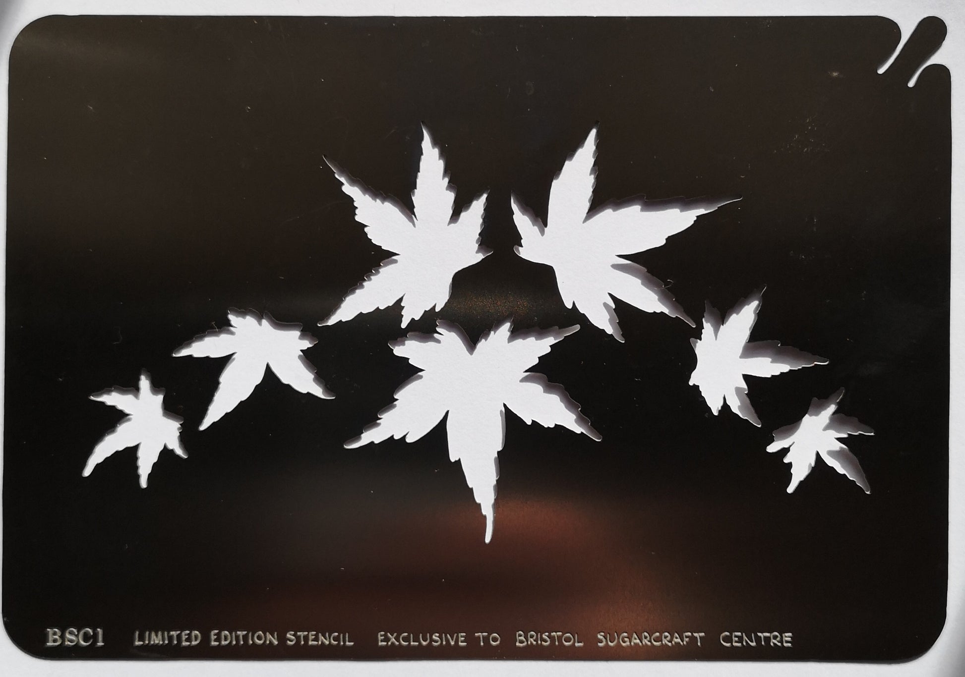 Stainless steel BSC1 Maple Leaves cake decorating / card making stencil image 0
