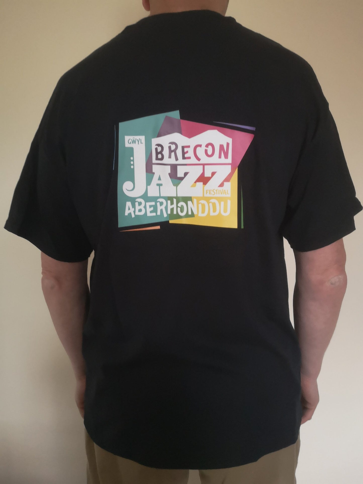 Brecon Jazz Festival Dual Logo Black T-Shirt - various sizes image 2