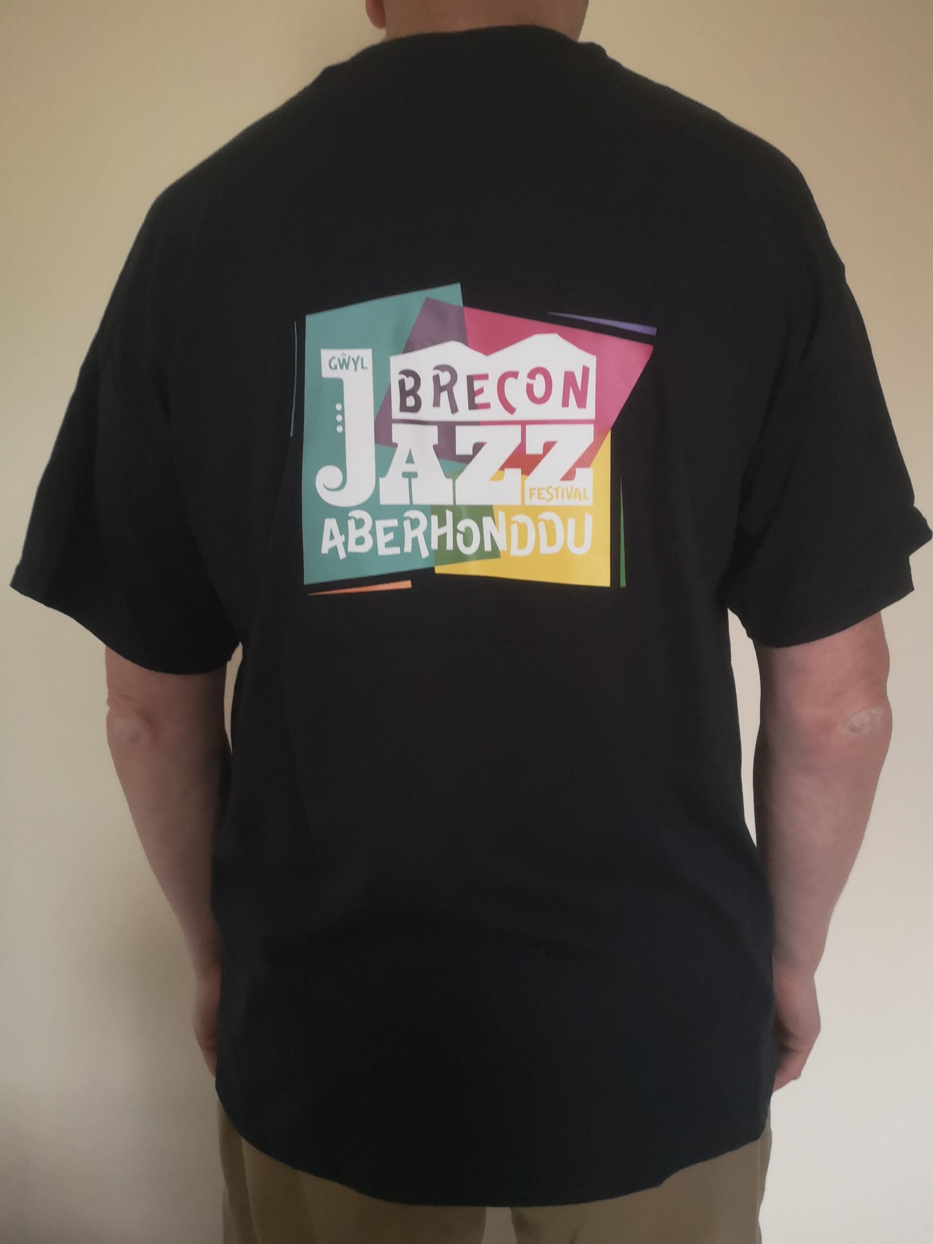 Brecon Jazz Festival Dual Logo Black T-Shirt - various sizes image 2