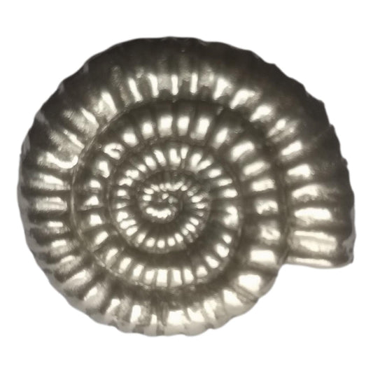 Ammonite Fossil polished pewter metal lapel pin badge image 0