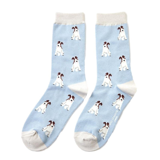 Fox Terriers Powder Blue Womens Novelty Ankle Socks Adult One Size image 0