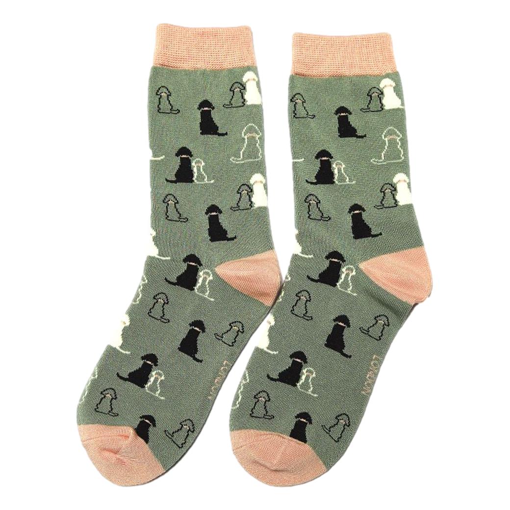 Retriever Duck Egg Womens Novelty Ankle Socks Adult One Size image 0